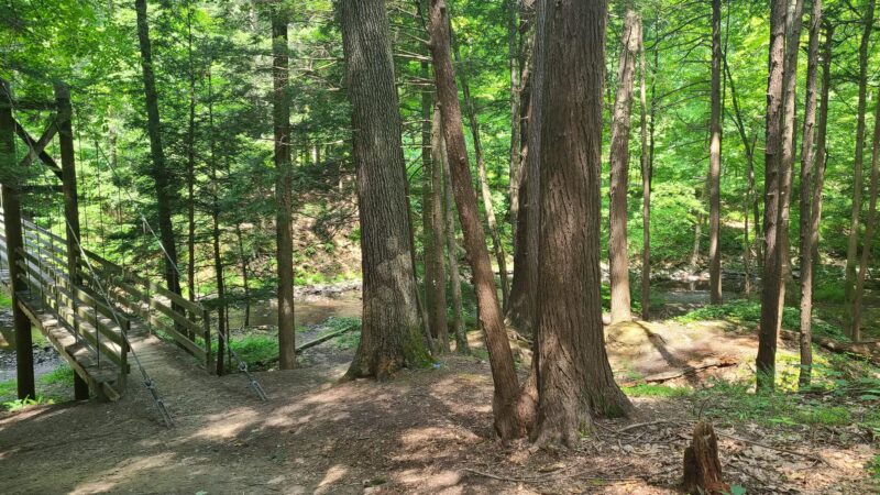 Black Creek Preserve - Esopus, NY