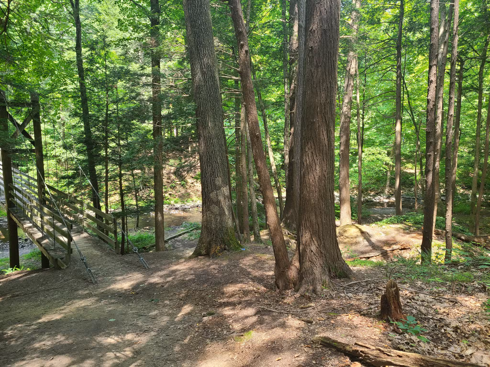 Black Creek Preserve - Esopus, NY