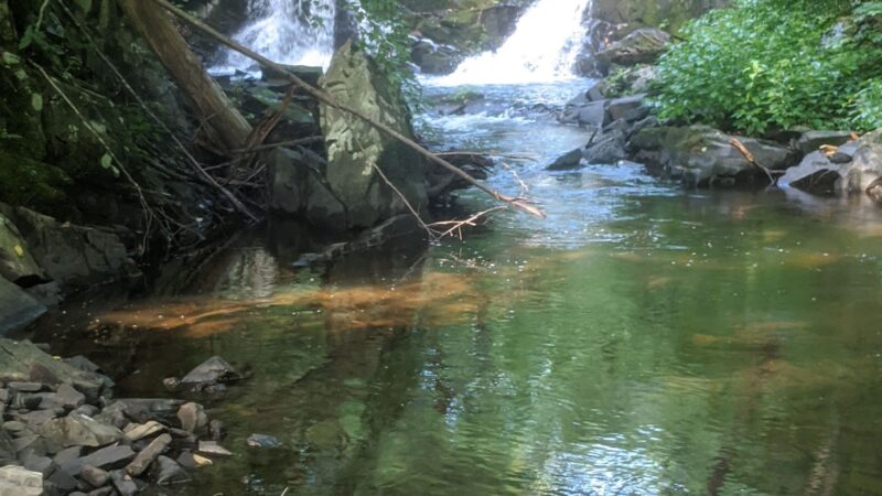 John Burroughs / Black Creek - Esopus, NY
