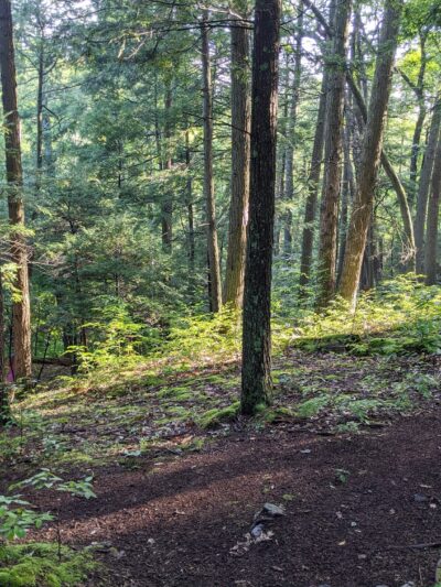John Burroughs / Black Creek - Esopus, NY