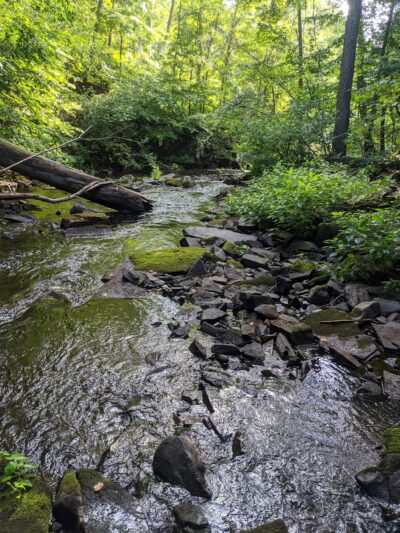John Burroughs / Black Creek - Esopus, NY