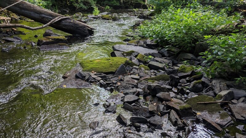 John Burroughs / Black Creek - Esopus, NY