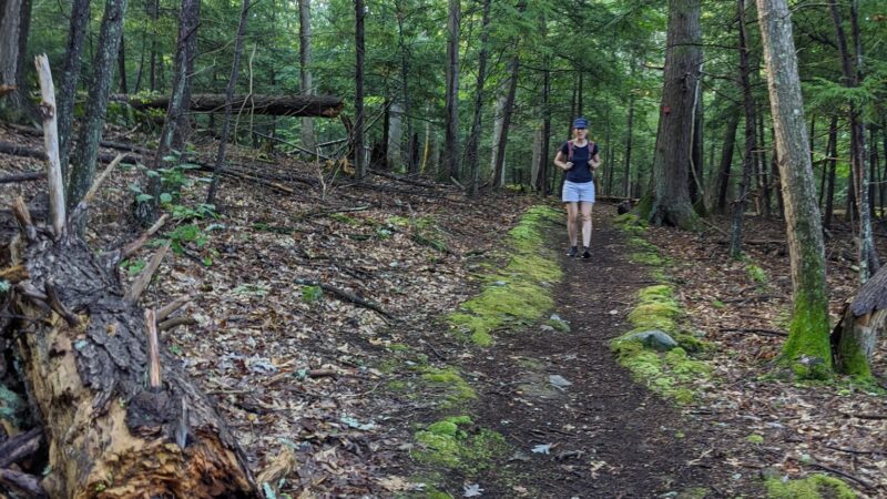John Burroughs / Black Creek - Esopus, NY