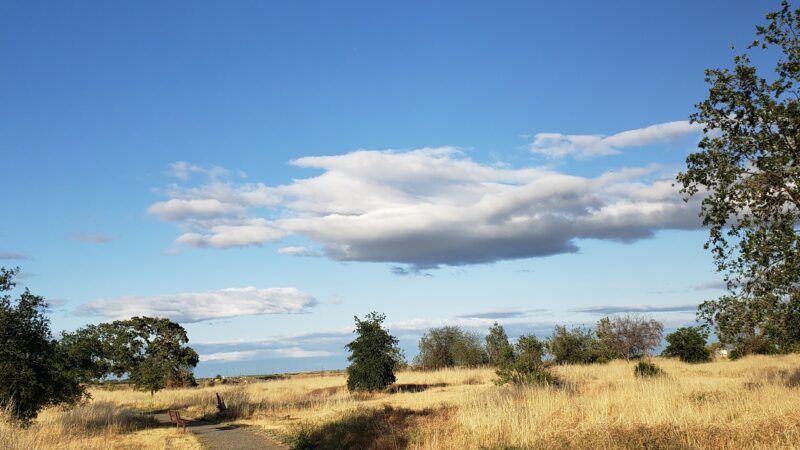 Capay Open Space Park - Esparto, CA