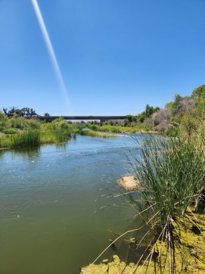 Capay Open Space Park - Esparto, CA
