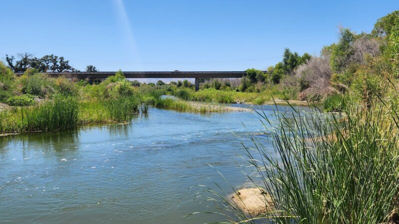 Capay Open Space Park - Esparto, CA
