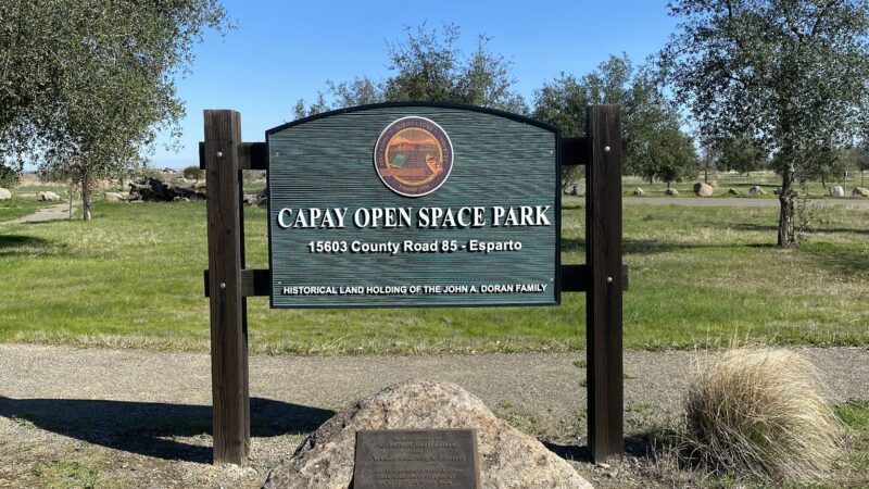 Capay Open Space Park - Esparto, CA