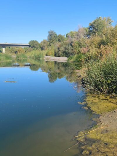 Capay Open Space Park - Esparto, CA