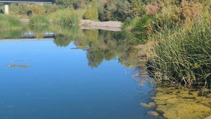 Capay Open Space Park - Esparto, CA