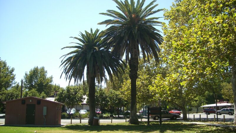 Esparto Community Park - Esparto, CA