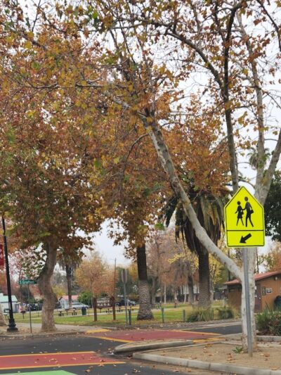 Esparto Community Park - Esparto, CA
