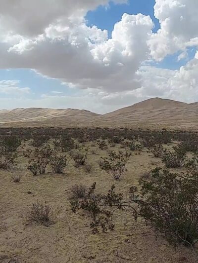 Mojave National Preserve - Essex, CA