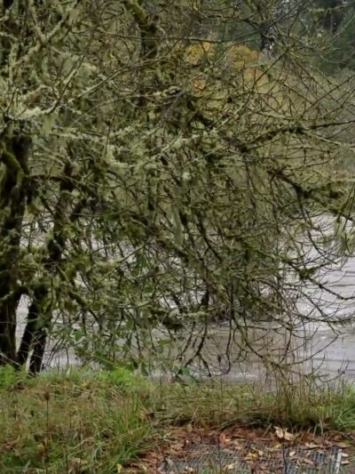 Milo McIver State Park - Estacada, OR