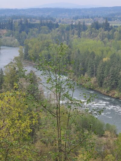 Milo McIver State Park - Estacada, OR