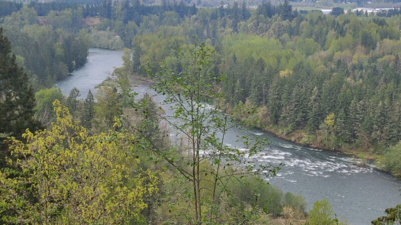 Milo McIver State Park - Estacada, OR
