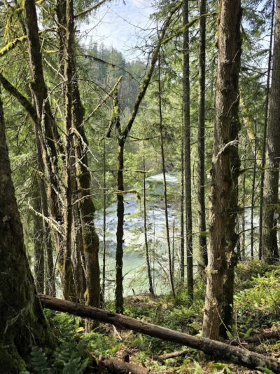 Old Clackamas Highway Trail - Estacada, OR