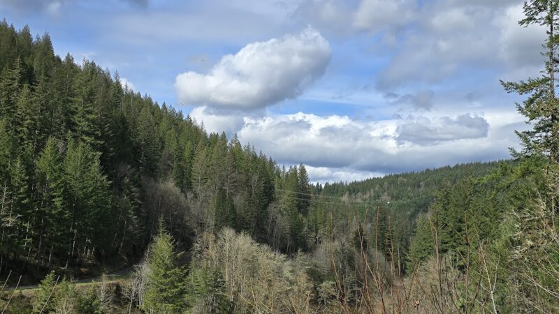Old Clackamas Highway Trail - Estacada, OR