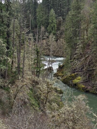 Old Clackamas Highway Trail - Estacada, OR