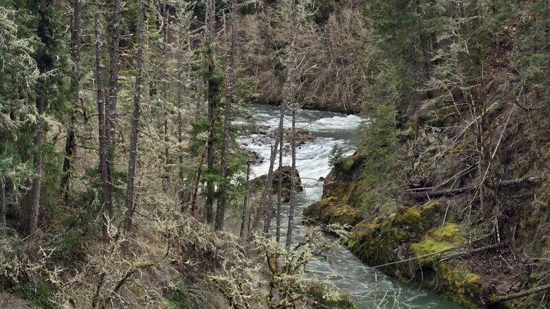Old Clackamas Highway Trail - Estacada, OR