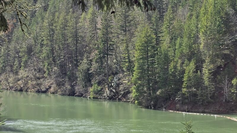 Old Clackamas Highway Trail - Estacada, OR