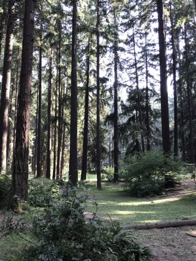 Timber Park - Estacada, OR