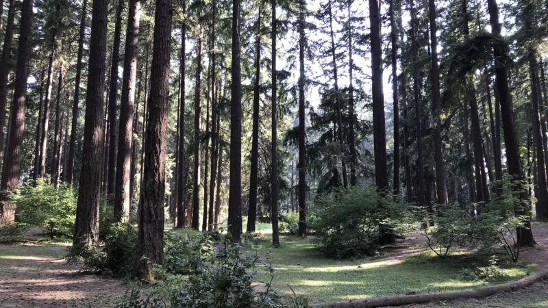 Timber Park - Estacada, OR
