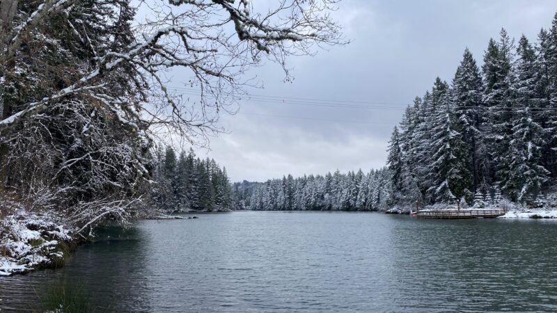Timber Park - Estacada, OR