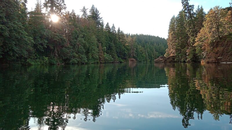Timber Park - Estacada, OR