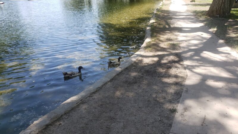 Estancia Park Lake - Estancia, NM