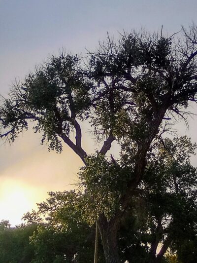 Estancia Park Lake - Estancia, NM