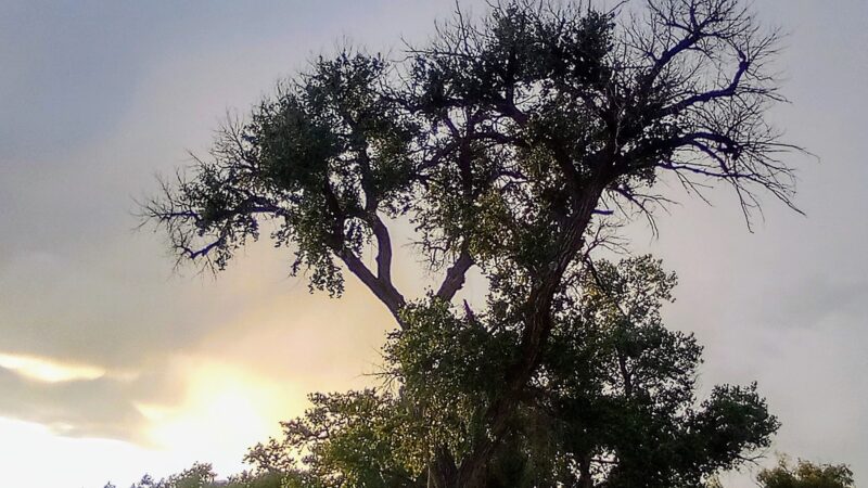 Estancia Park Lake - Estancia, NM