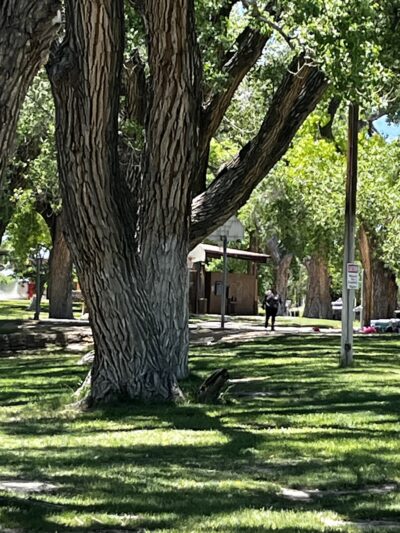 Estancia Park Lake - Estancia, NM