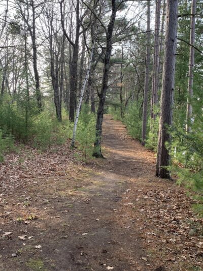 Brunet Island State Park Pet Run - Estella, WI