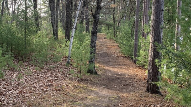 Brunet Island State Park Pet Run - Estella, WI