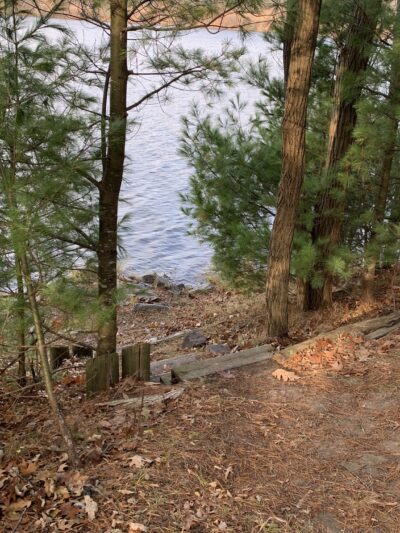 Brunet Island State Park Pet Run - Estella, WI