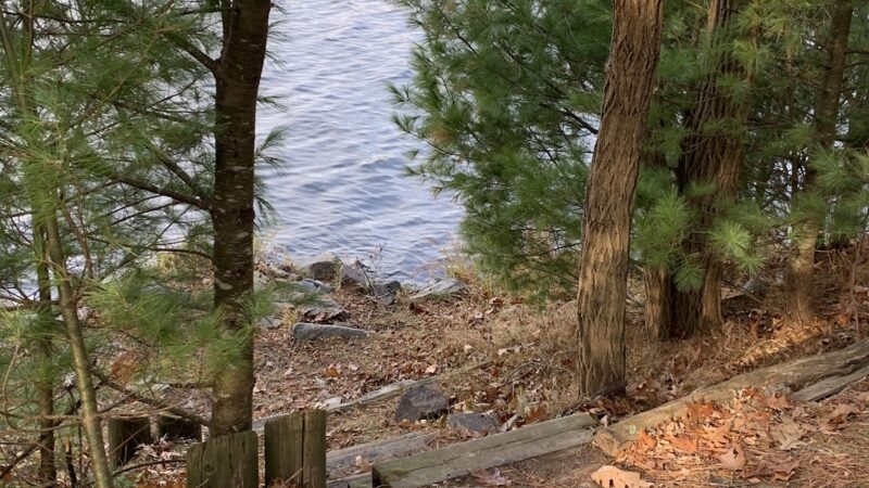 Brunet Island State Park Pet Run - Estella, WI