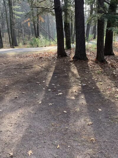 Brunet Island State Park Pet Run - Estella, WI