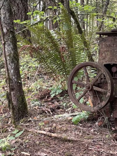 Dillard West Trailhead - Eugene, OR