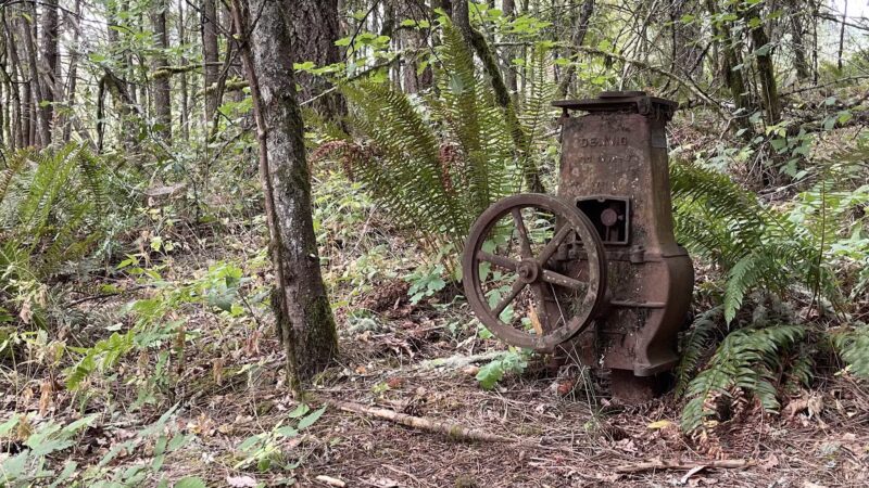 Dillard West Trailhead - Eugene, OR