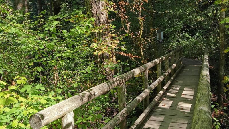 Dillard West Trailhead - Eugene, OR