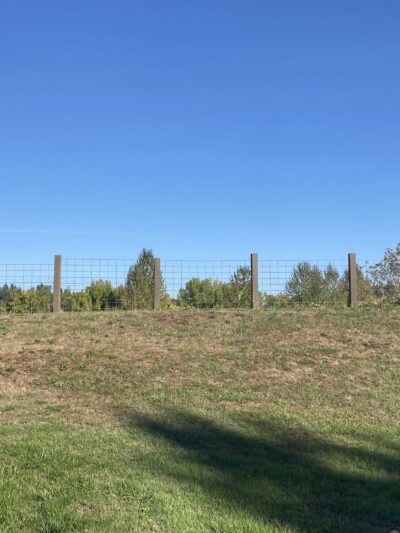 Amazon Dog Park - Eugene, OR