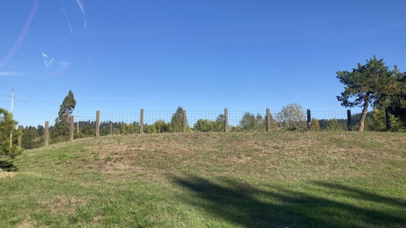 Amazon Dog Park - Eugene, OR