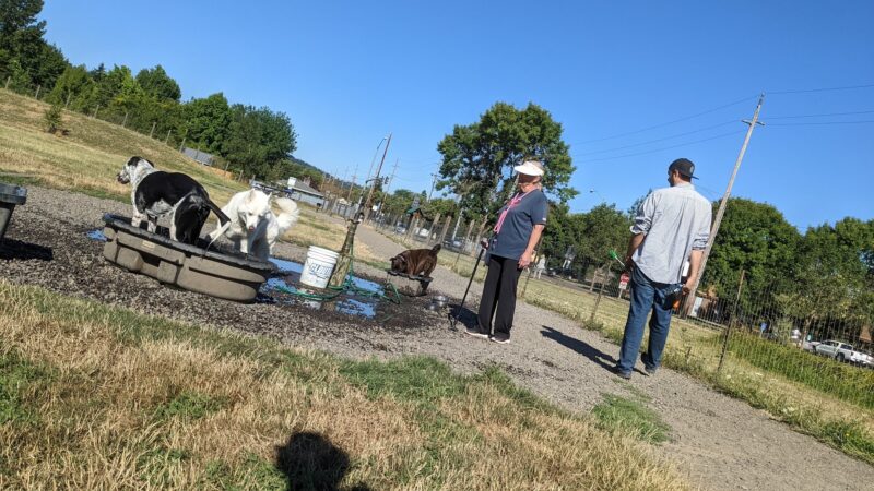 Amazon Dog Park - Eugene, OR
