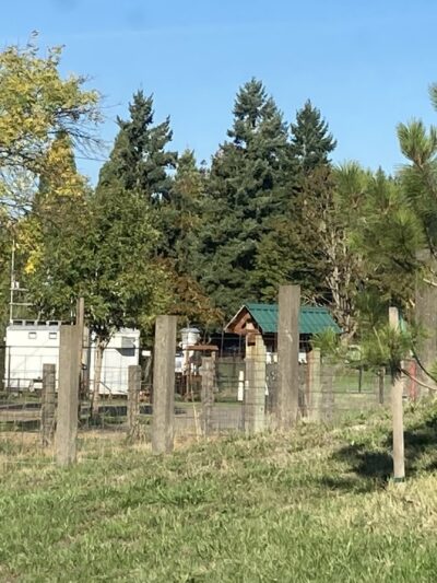 Amazon Dog Park - Eugene, OR
