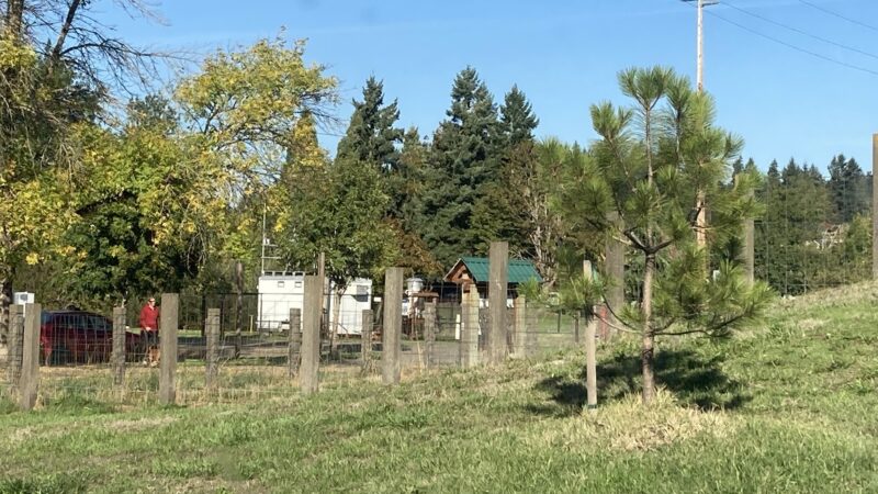 Amazon Dog Park - Eugene, OR
