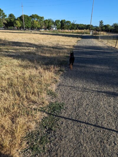 Amazon Dog Park - Eugene, OR