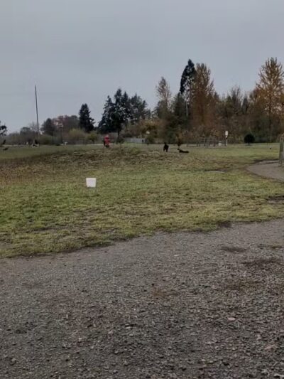 Amazon Dog Park - Eugene, OR