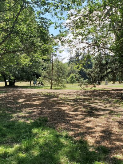 Armitage Dog Park - Eugene, OR
