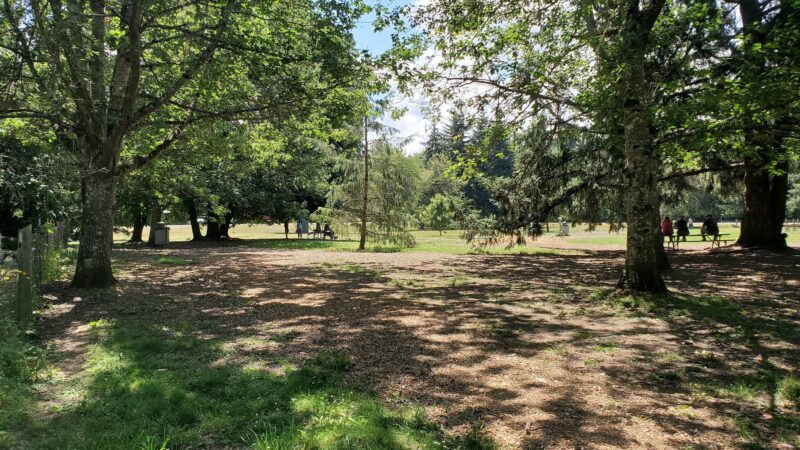 Armitage Dog Park - Eugene, OR
