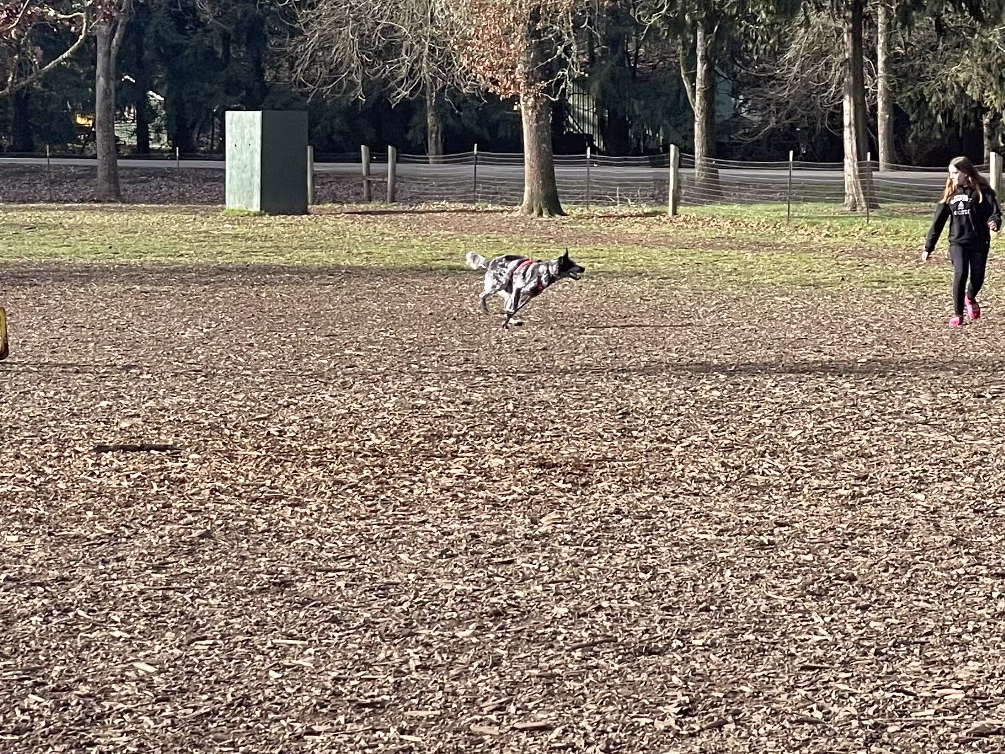 Armitage Dog Park - Eugene, OR